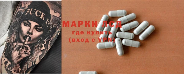 PSILOCYBIN Вязники