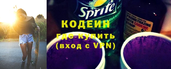 ПСИЛОЦИБИНОВЫЕ ГРИБЫ Вяземский