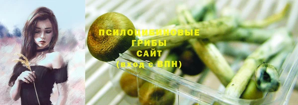 ПСИЛОЦИБИНОВЫЕ ГРИБЫ Вяземский