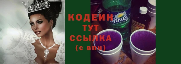 ПСИЛОЦИБИНОВЫЕ ГРИБЫ Вяземский