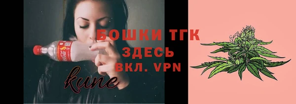ПСИЛОЦИБИНОВЫЕ ГРИБЫ Вяземский