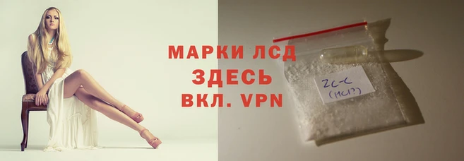 ПСИЛОЦИБИНОВЫЕ ГРИБЫ Вяземский