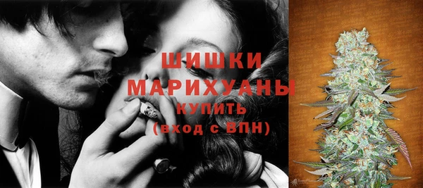 PSILOCYBIN Вязники