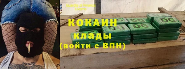 прущие грибы Горнозаводск