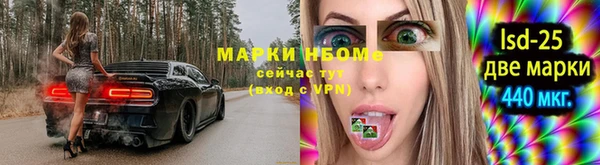 a pvp Горняк